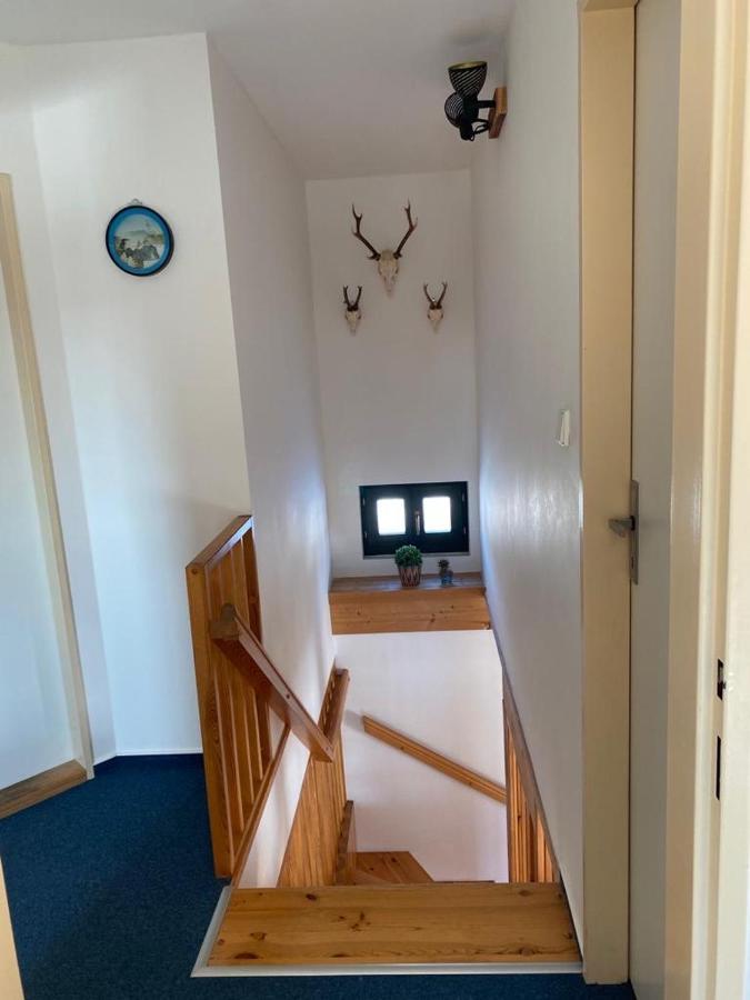 Villa 66 - Cista V Krkonosich