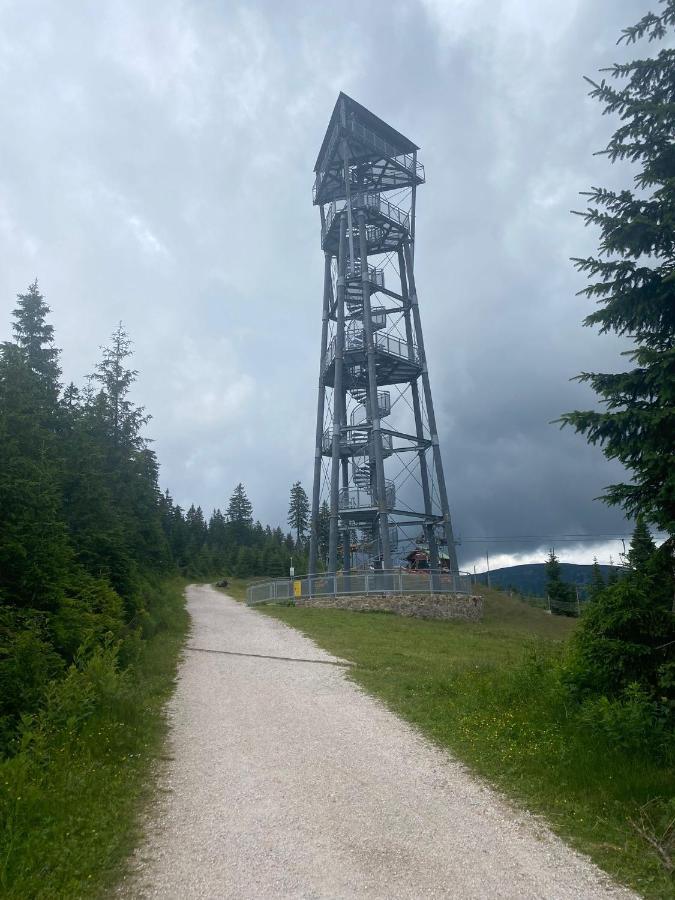 Villa 66 - Cista V Krkonosich *